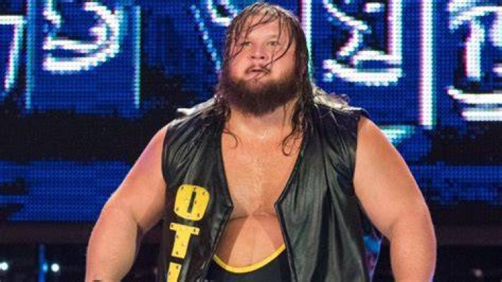 Nikola Bogojevic | Bio, Age, Net Worth, Relationship, Career