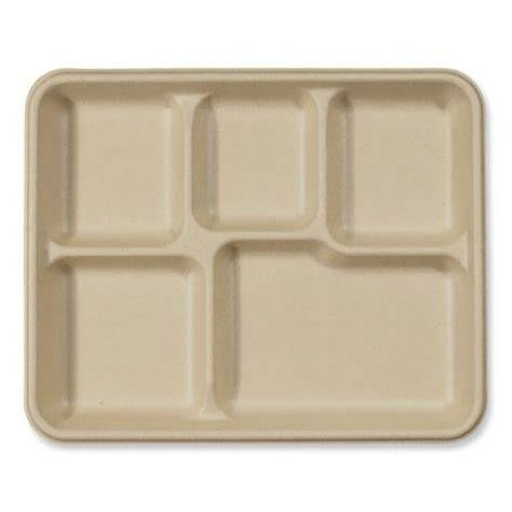 Schoollunchtray
