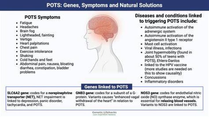 Summer Dashe | Illness: Is She Cured With POTS Syndrome?