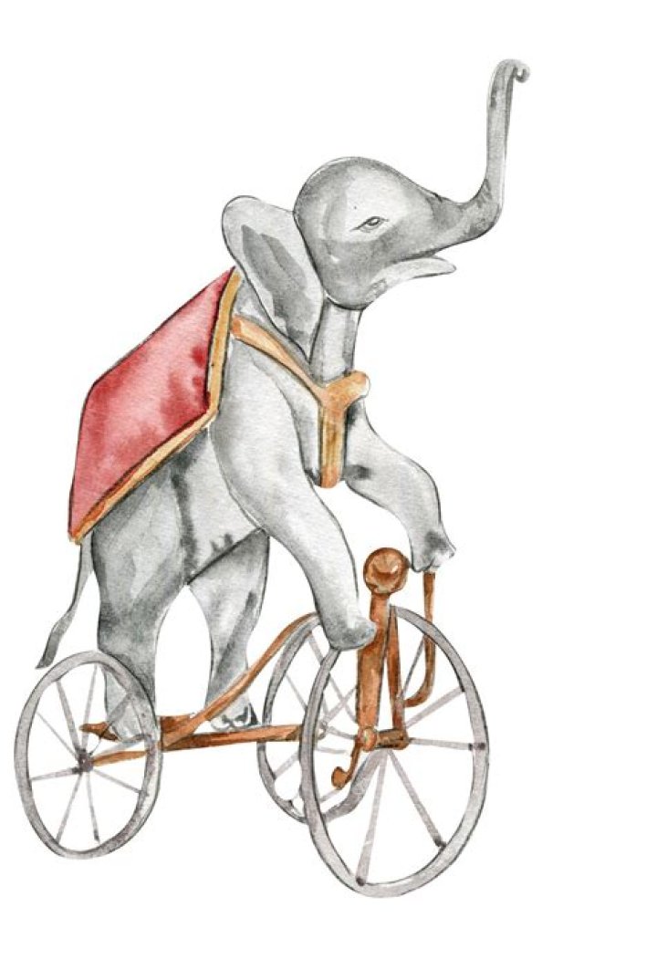 The Magician&rsquo;s Elephant