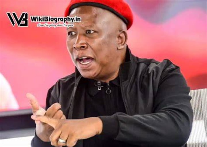 Who Is Julius Malema? | Biography, Wiki, and Net Worth